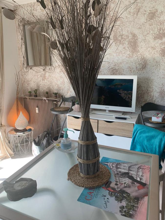 Luxurious Studio In Cannes 450M From Sea With Terrace And Air Conditioning And Private Parking Екстер'єр фото